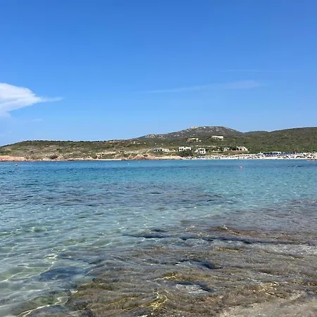Sant'orsola * Trinità dʼAgultu